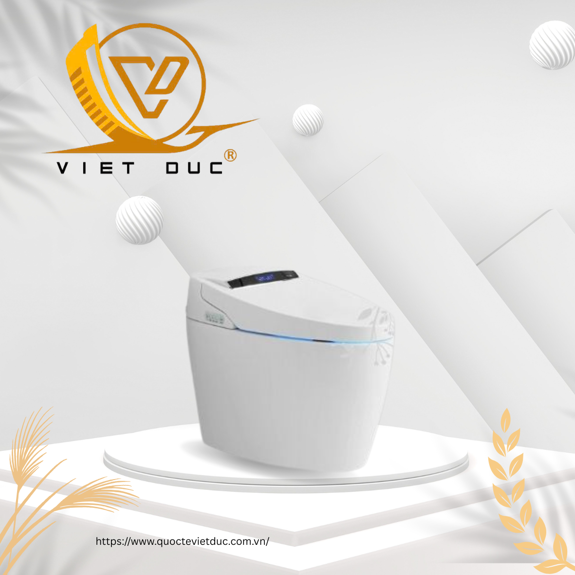 ảnh popup