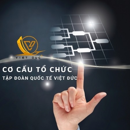 CƠ CẤU TỔ CHỨC